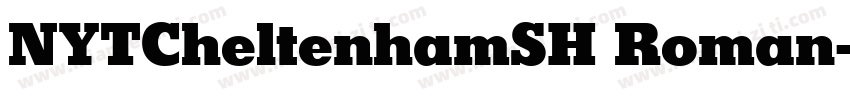 NYTCheltenhamSH Roman字体转换